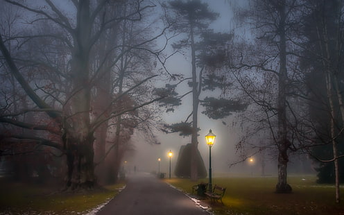 Park, foggy, path, lamp posts, benches, trees, night, Park, Foggy, Path, Lamp, Benches, Trees, Night, HD wallpaper HD wallpaper