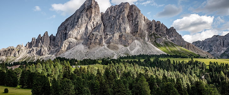 회색 산, 초광각, 산, 숲, 풍경의 풍경 사진, HD 배경 화면