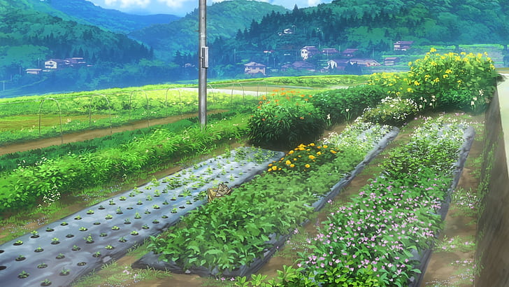 Non Non Biyori, landscape, anime, plants, HD wallpaper