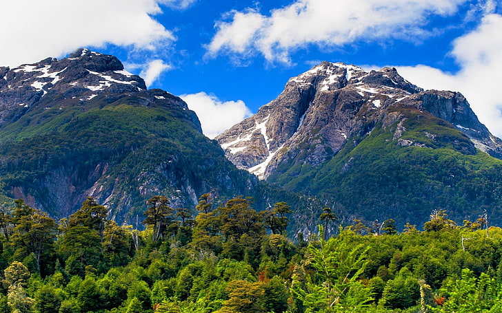 pohon dan gunung hijau, lanskap, alam, Chili, musim panas, gunung, hutan, awan, Patagonia, puncak bersalju, pohon, hijau, Wallpaper HD