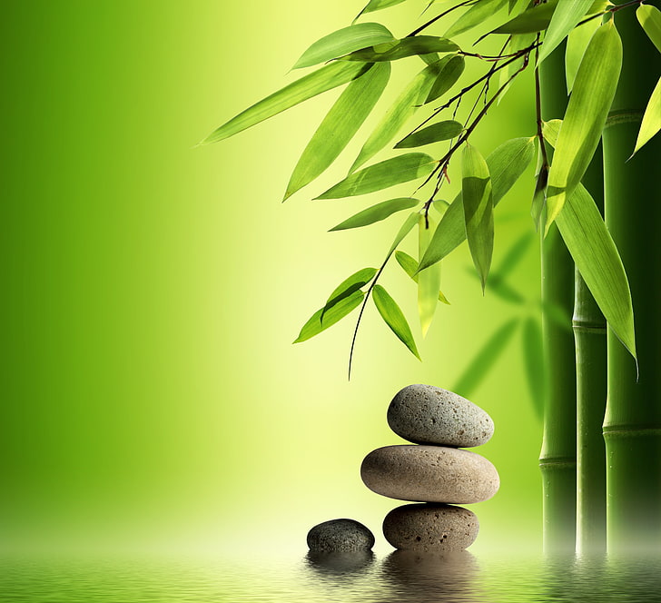 erba di bambù verde, acqua, pietre, bambù, spa, zen, Sfondo HD
