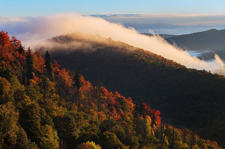 fotografia, natureza, paisagem, montanhas, floresta, nuvens, pôr do sol, outono, árvores, Carolina do Norte, HD papel de parede