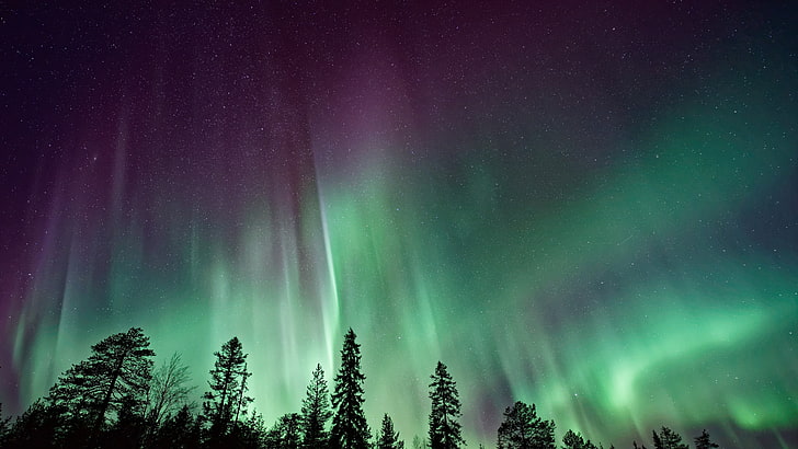 aurora boreal, luzes da noite, atmosfera, céu, noite, paisagem, árvore, céu noturno, luzes da meia noite, luzes polares, luzes do norte, minnesota, duluth, costa norte, estados unidos, estados unidos da américa, HD papel de parede