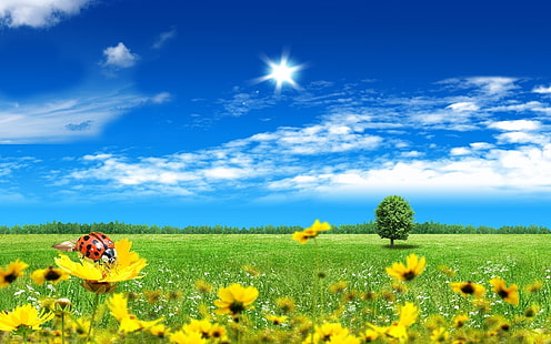 Яркая весна, пейзаж, природа, пейзажи, цветы, солнечно, HD обои HD wallpaper