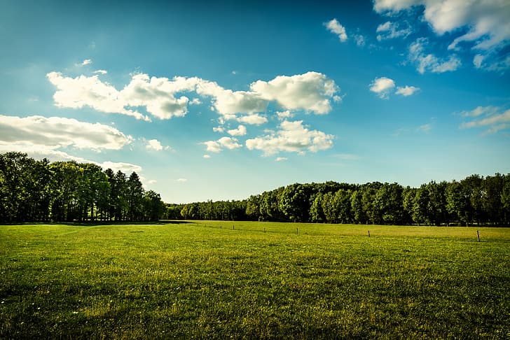 Paisaje, Sol, azul, cielo, granja, Plantas, rural, césped, verde, verano,  Fondo de pantalla HD | Wallpaperbetter