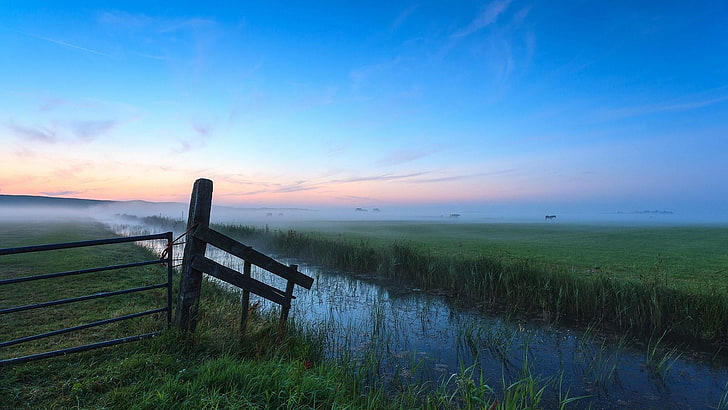 fence, canal, grassland, sky, horizon, dawn, morning, grass, wetland, field, fog, marsh, mist, calm, sunrise, meadow, HD wallpaper