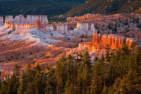 дървета, залез, планини, скали, Юта, САЩ, Национален парк Брайс Каньон, HD тапет HD wallpaper
