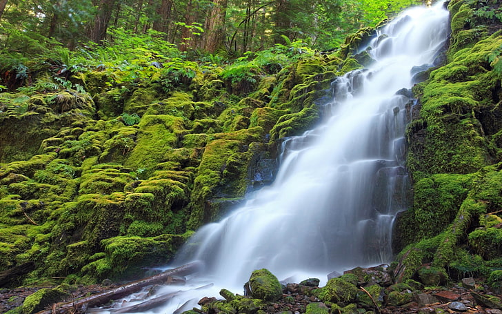 White Branch Falls Is Located Near Near The Mckenzie Bridge Oregon United States Rocky Waterfall Rocks With Green Moss Rainforest 5200×325, HD wallpaper