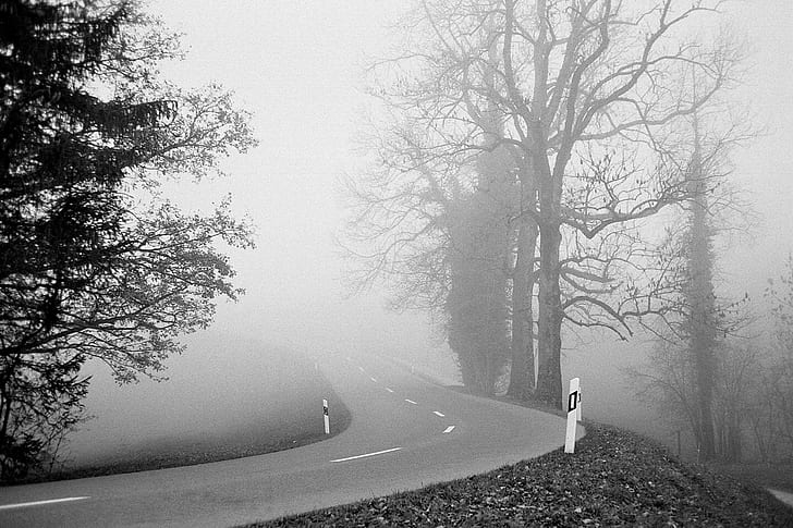 asphalt road in between trees with fog grayscale photo, ilford, ilford, Hütten, Ilford, asphalt, in between, trees, fog, grayscale, photo, Ric, Capucho, Contax, T2, Analog, Analogue, 35mm Film, Grain, Street Photography, Switzerland, Zurich, Schweiz, Zürich, Black  White, B/W, Schwarz  Weiss, S/W, Portrait, Scene, Candid, Decisive  Moment, Decisive Moment, Creative Commons, Flickr, Explore, Scout, best camera, prime lens, left eye, City, Snap, photography, tog, nature, road, tree, forest, outdoors, HD wallpaper