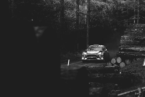 wrc, macchine da corsa, Rallye, auto da rally, Ford Fiesta, Robert Kubica, Sfondo HD HD wallpaper
