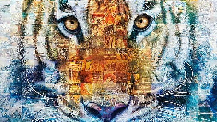 Vita di Pi, tigre, animali, film, collage, Sfondo HD