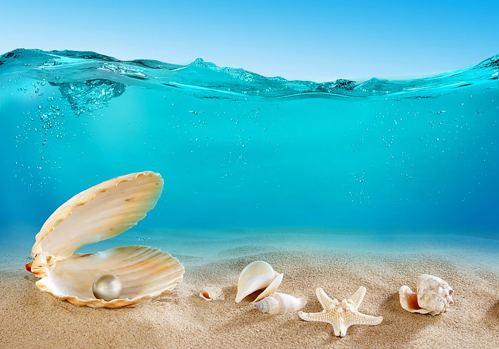 white pearl, sand, sea, the ocean, the bottom, shell, underwater, ocean, seashells, HD wallpaper