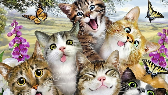 Lustige Katzen, Lustige, Freunde, Deutschland, Katze, Sfondo HD HD wallpaper