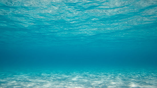 ondulante cuerpo de agua, fotografía, mar, agua, bajo el agua, Fondo de pantalla HD HD wallpaper