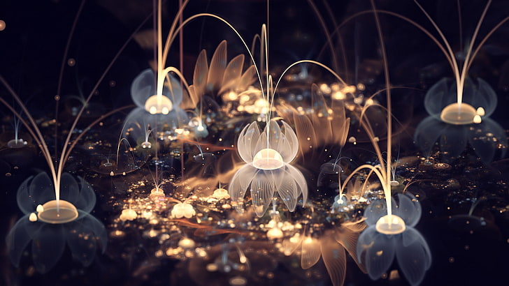brown and white lights bokeh photo, abstract, fractal, fractal flowers, HD wallpaper