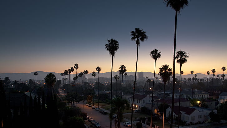 палми, Лос Анджелис, градски пейзаж, небе, залез, HD тапет