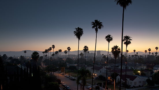 палми, Лос Анджелис, градски пейзаж, небе, залез, HD тапет HD wallpaper
