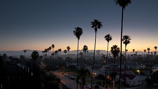 siluet pohon palem, pohon kelapa dan rumah-rumah pada malam hari, langit, matahari terbenam, Los Angeles, pohon-pohon palem, cityscape, Wallpaper HD HD wallpaper