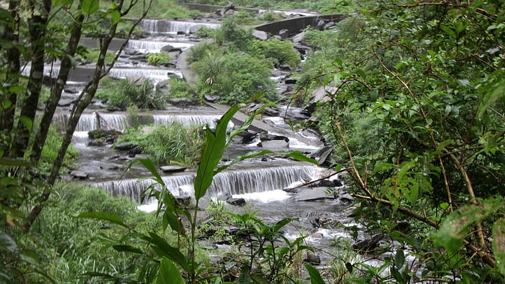 Layers of stream waterfall, nature, tree, stream, waterfall, HD wallpaper