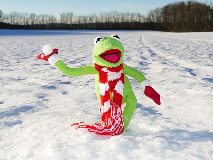cold, frog, kermit, snow, snow ball, stuffed animal, stuffed toy, toy, winter, HD wallpaper