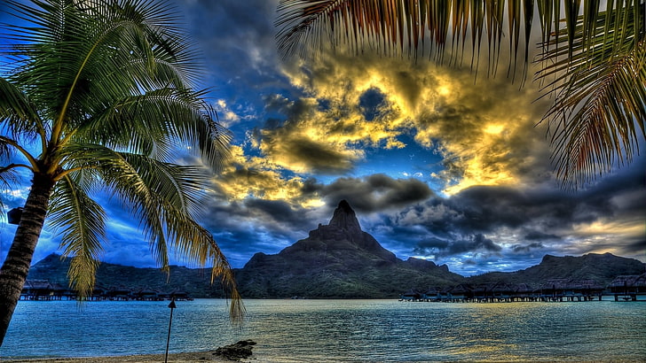 grüne Kokospalme, Wolken, Palmen, Meer, Himmel, HD-Hintergrundbild