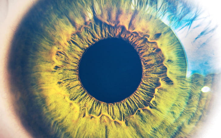 eye, human, nature, pupil, body, science, flare, blue, HD wallpaper