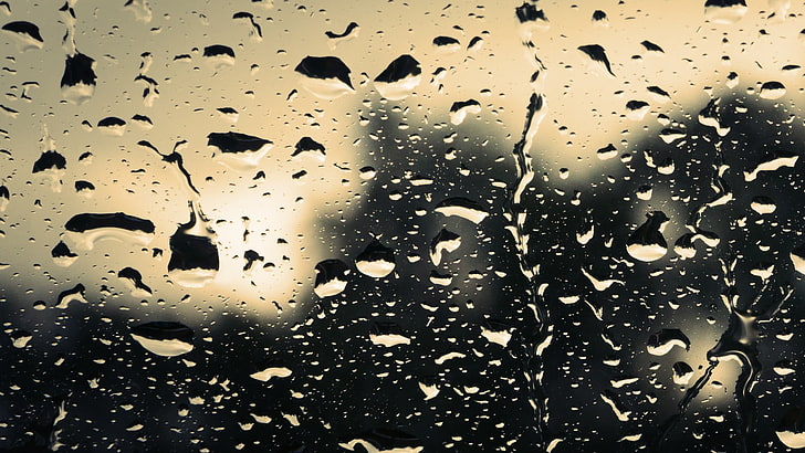 weißes und schwarzes Blumentextil, Regen, Wassertropfen, HD-Hintergrundbild