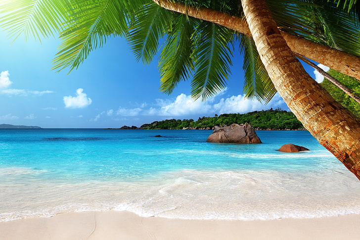 kokosnötpalmillustration, sand, hav, strand, solen, tropikerna, palmer, havet, strand, ö, sommar, hav, kust, blå, paradis, semester, tropisk, palm, smaragd, HD tapet