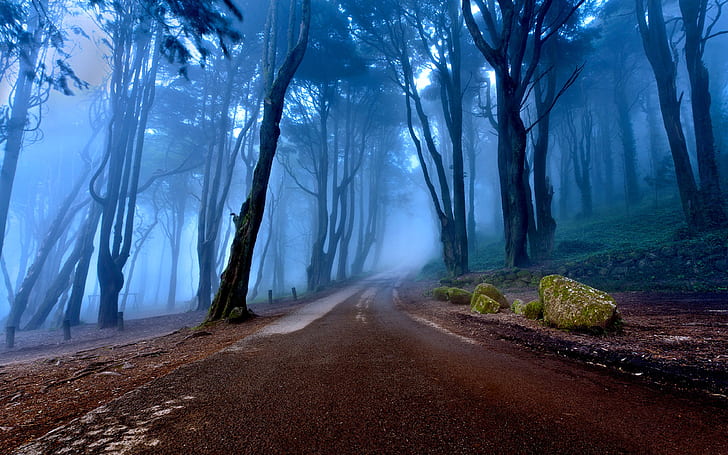 Пейзажи на Португалия Есенна пътна гора с високи дървета, Mist Rock Desktop Wallpaper Фонове Hd 3840 × 2400, HD тапет