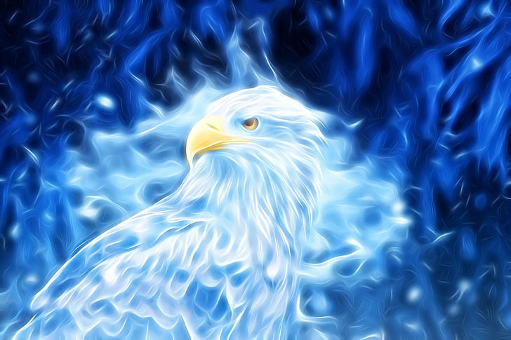 Animal, Artistic, Bird, Blue, Digital Art, Eagle, HD wallpaper