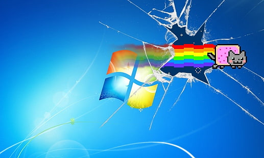 Humor, Nyan Cat, Windows, HD wallpaper HD wallpaper