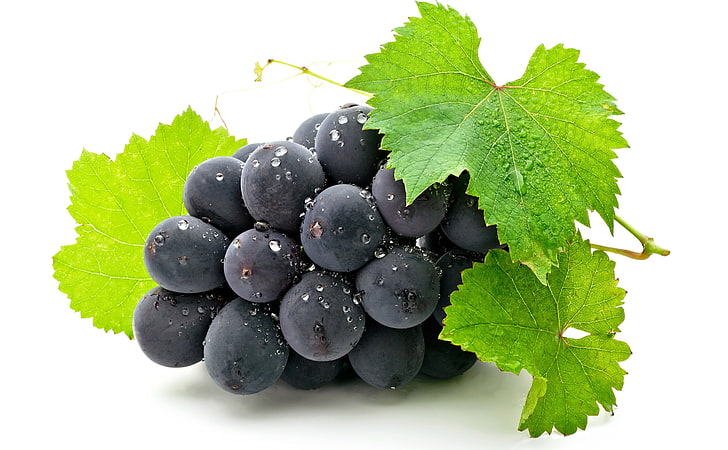 purpurrote Traubenfrüchte, Blätter, Beere, Trauben, Bündel, weißer Hintergrund, HD-Hintergrundbild