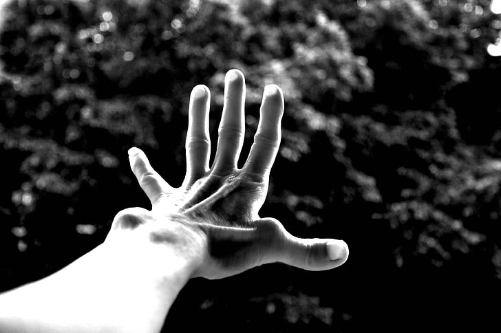 arm, black and white, body language, body part, hand, limb, monochrome, reaching out, sinews, stretched out hand, HD wallpaper