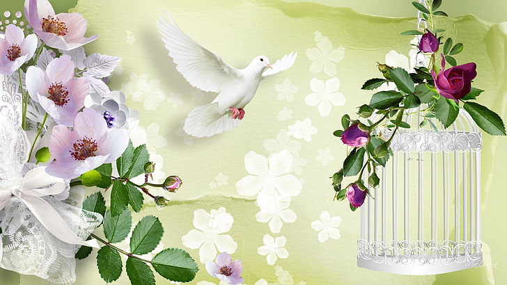 Artistic, Spring, Birdcage, Dove, Flower, HD wallpaper