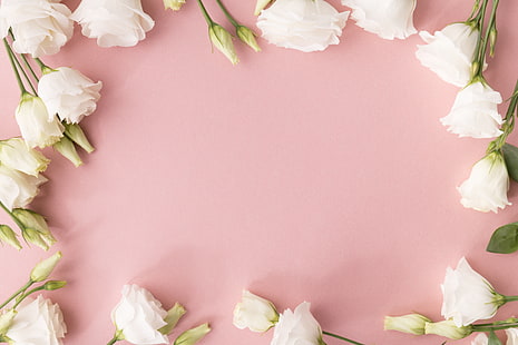 bianco, sfondo, fiori, eustoma, Sfondo HD HD wallpaper