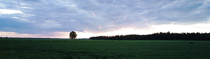 grüne Wiese, Landschaft, Feld, Natur, Mehrfachanzeige, Finnland, Himmel, Wolken, Bäume, HD-Hintergrundbild