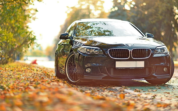 BMW 550 F10 Car Wheels Tuning, wheels, tuning, HD wallpaper