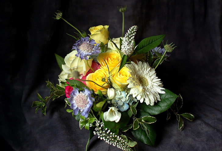жълти рози и букет от бяла маргаритка, гербера, рози, цветя, букети, композиция, дизайн, HD тапет