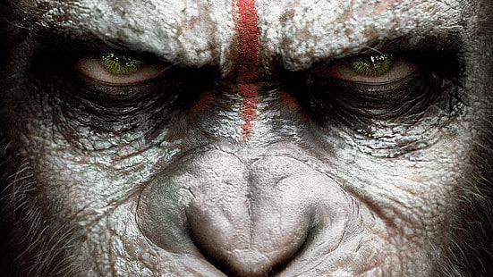 Зората на Планетата на маймуните, HD тапет HD wallpaper