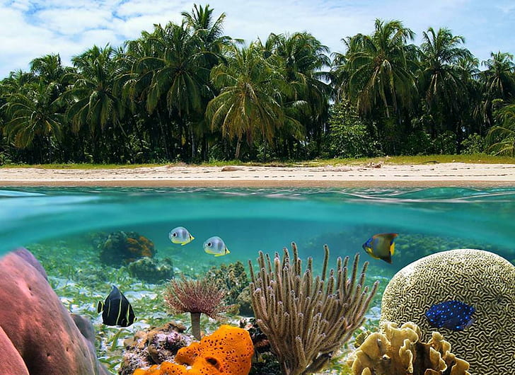 Pod rafą, piasek, nurkowanie, ryba, wyspa, morskie, atol, fajka, tropikalny, laguna, podwodny, rafa, tahiti, ocean, bora-bora, Tapety HD
