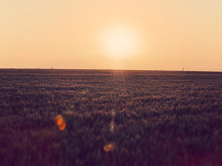 klarer Himmel, Sonnenuntergang, Lens Flare, Bauernhof, Fotografie, Feld, Sonnenlicht, Stromleitungen, Landschaft, Natur, HD-Hintergrundbild