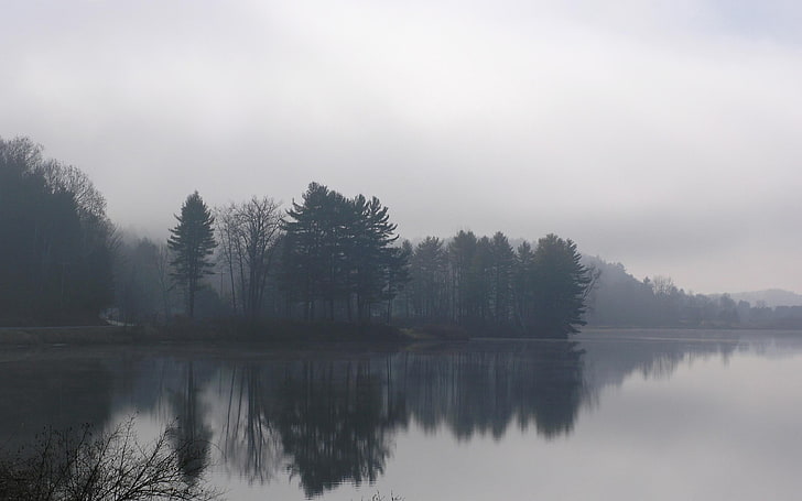 зелени листни дървета, природа, езеро, мъгла, отражение, HD тапет