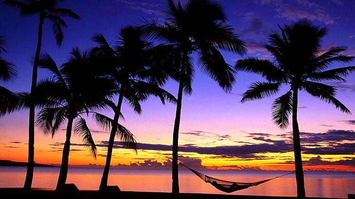 beach, hammock, palm tree, sea, sunset, tree, HD wallpaper