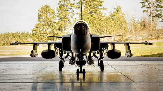 транспортное средство, самолет, реактивный истребитель, JAS-39 Gripen, самолет, военный самолет, HD обои HD wallpaper