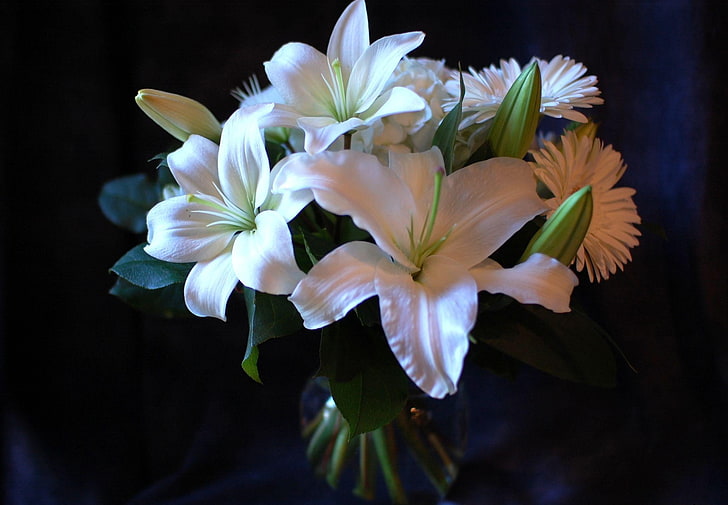 하얀 꽃잎 꽃, 백합, 거베라, 꽃, 꽃다발, 흰색, HD 배경 화면