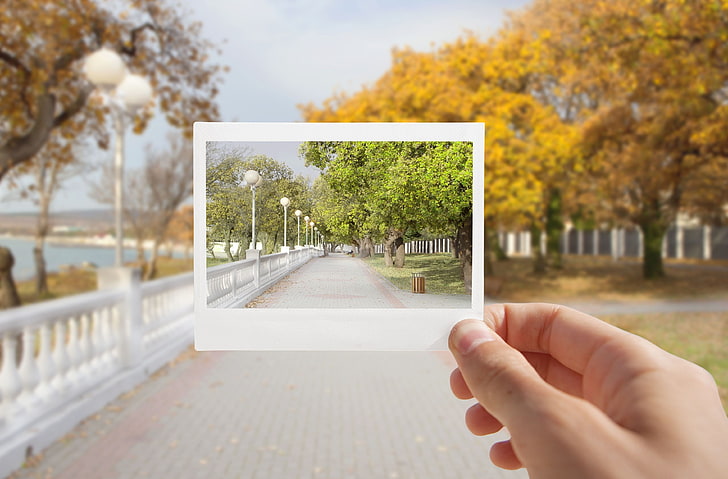white photo film, force perspective photography of person holding park photo, fall, digital art, trees, hands, picture frames, HD wallpaper