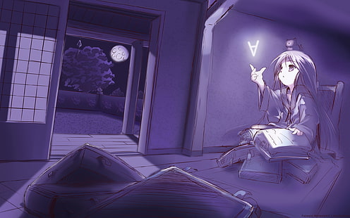本アニメキャラクター、部屋、本、読書、夜を読んでいる女の子、 HDデスクトップの壁紙 HD wallpaper
