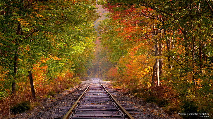 Caminho da Luz, New Hampshire, Outono, HD papel de parede