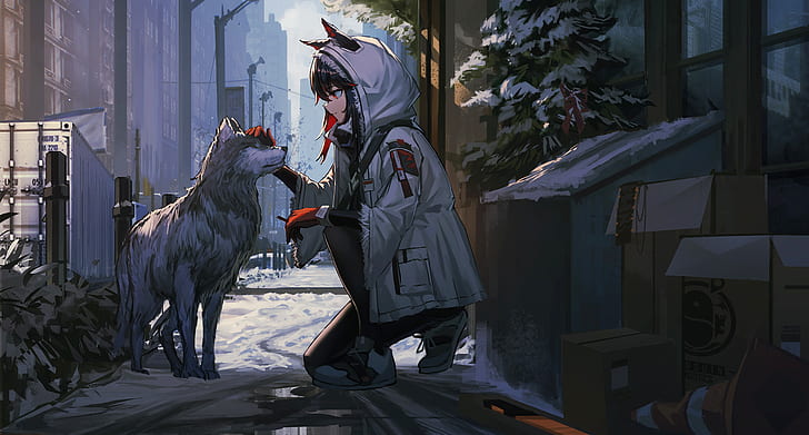 Anime Girl With Wolf Ears Wallpapers  Wallpaper Cave