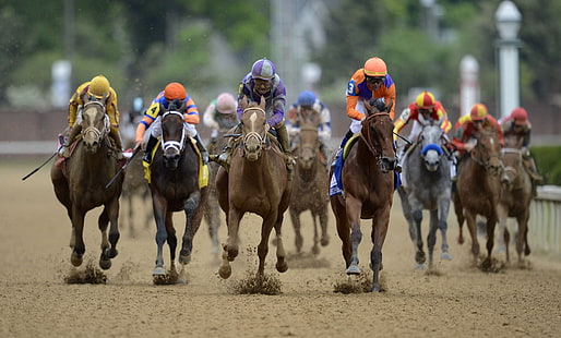 brown horses, kentucky derby, kentucky derby 2015, kentucky derby odds, horse, racing, HD wallpaper HD wallpaper